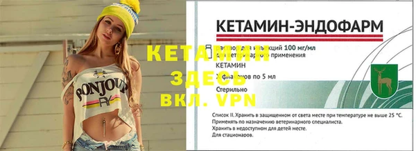 ГАЛЛЮЦИНОГЕННЫЕ ГРИБЫ Инта
