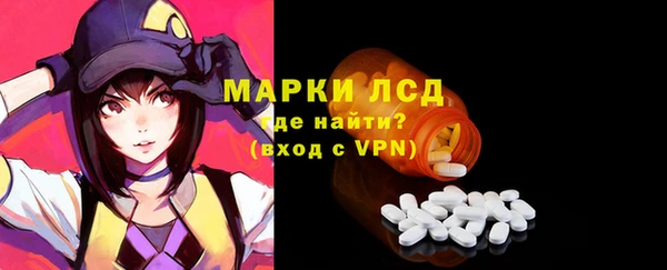 ГАЛЛЮЦИНОГЕННЫЕ ГРИБЫ Инта