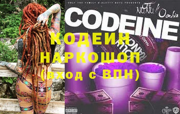ГАЛЛЮЦИНОГЕННЫЕ ГРИБЫ Инта