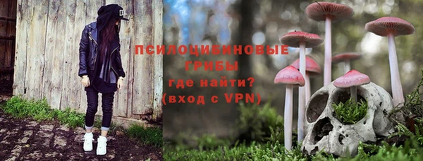 мяу мяу кристалл Иннополис