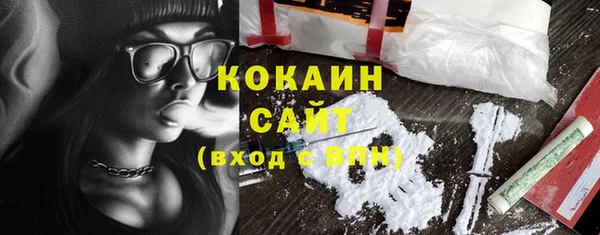 ГАЛЛЮЦИНОГЕННЫЕ ГРИБЫ Инта