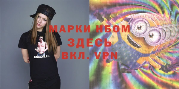 ГАЛЛЮЦИНОГЕННЫЕ ГРИБЫ Инта
