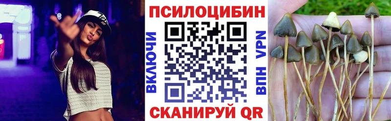 Купить  Усть-Лабинск  Псилоцибиновые грибы MAGIC MUSHROOMS 